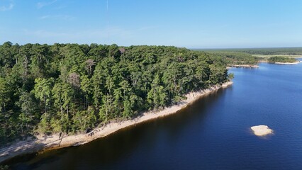Aerial view of forest and lake