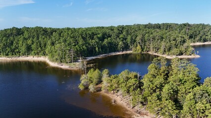Aerial view of a serene lake and lush green forest