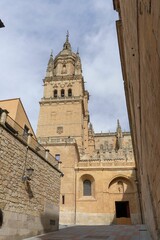 View of the New Cathedral of Salamanca with its intricate architecture and clear sky
