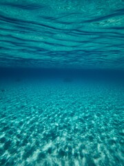 Underwater view of the ocean floor