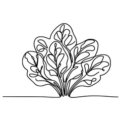 one line drawing spinach vegetable food vector illustration template design