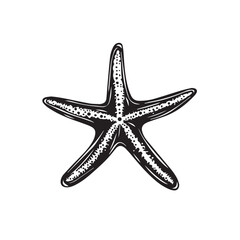 Obraz premium Starfish in cartoon, doodle style . Image for t-shirt, web, mobile apps and ui. Isolated 2d vector illustration in logo, icon, sketch style, Eps 10, black and white. AI Generative