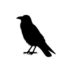 Obraz premium A-victor-silhouette-of-a--Crow-single-Tree-on-a-white-background-3.jpg