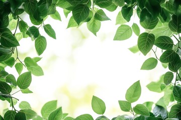 Green Leaves Frame with Blurred Background