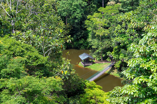 Aerial view of a small hut and suspension bridge over a river in Sepilok, Borneo island, Malaysia