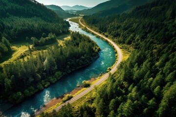 Pine tree mountain road nature river outdoors.