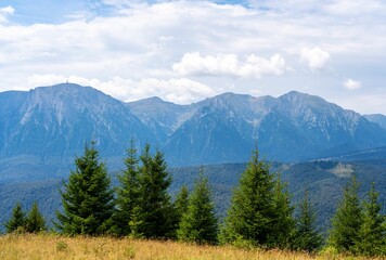Beautiful landscape of evergreen trees with a mountain range in the background