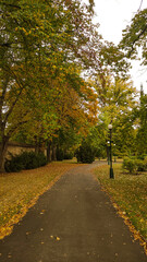Empty paved path winding through a tranquil autumn park in Royal garden Prague. Vertical mobile photo