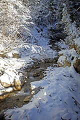 Obraz premium Austrian Mountain Stream - Winter view