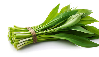 Freshly Foraged Ramps: Vibrant Wild Leeks Bundle on Clean White Canvas