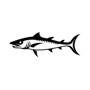 recommend clip art: Barracuda Vector Illustration - Dynamic Fish Design for SVG, Cricut, Clipart, and T-Shirt Graphics