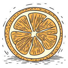 Hand Drawn Illustration of a Sliced Orange with Visible Pulp