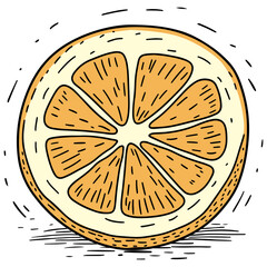 Hand Drawn Illustration of a Sliced Orange with Visible Pulp