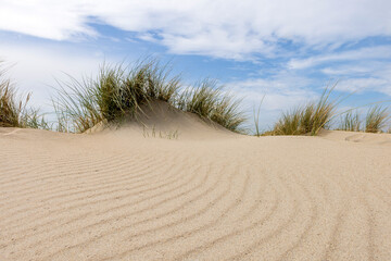 Dunes on the Dutch islands