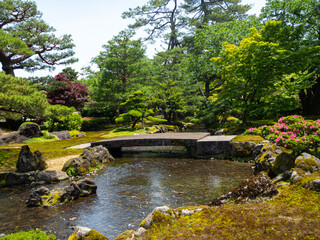 Fototapeta premium Japan traditional garden Kyoto