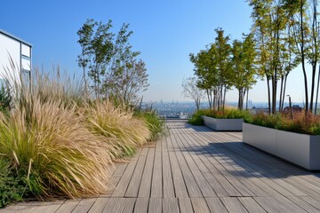 The minimalist style rooftop terrace features potted plants and an empty space