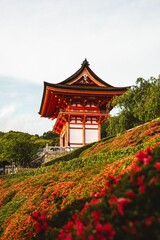 Fototapeta premium Traditional Japanese temple with vibrant flowers