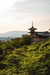 Kiyomizu-dera Temple in Kyoto, Japan, amidst lush greenery.