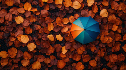 Overhead autumn photograph with a umbrella in the middle. 