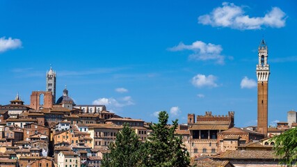 Fototapeta premium Panoramic view of Siena with Torre del Mangia