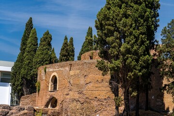 Ancient Roman Ruins with Cypress Trees in Rome, Italy