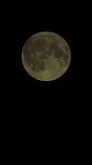 Full Moon Against Dark Night Sky