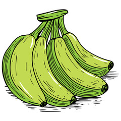 Hand Drawn Green Banana Cartoon © MrHamster