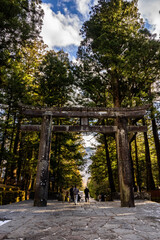 Tourists and worshipers in stunning shot of massive torii gate