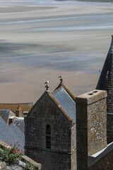 two seagulls on the roof of the house 