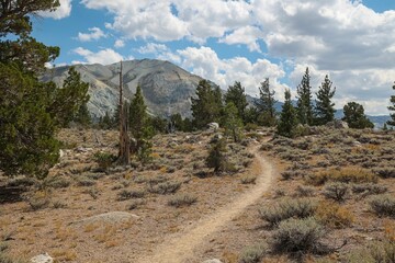 A single track hiking trail leads through the beautiful natural landscape of the Eastern Sierras