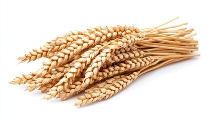 A detailed view of a wheat sheaf isolated on a white backdrop, highlighting the textures and natural colors of the wheat heads and stems in a studio setting