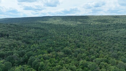 Obraz premium Aerial view of a vast green forest under a partly cloudy sky