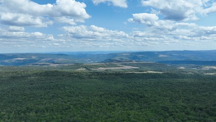 Aerial view of a lush green forest with rolling hills in the background.