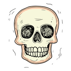 Hand Drawn Cartoon Illustration of a Human Skull with Teeth