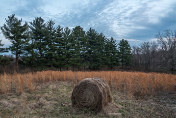 hay barrel in kentucky field © Bradley