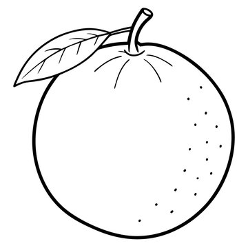 recommend clip art: citrus hand draw outline coloring book page line art drawing