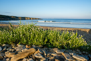 Bord de mer