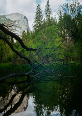 Film photos of the views in Yosemite National Park.