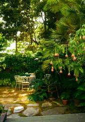 Obraz premium Lush and tranquil garden