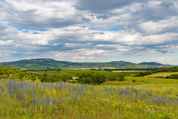 Spring landscape in Palava near Dolni Dunajovice, Southern Moravia, Czech Republic