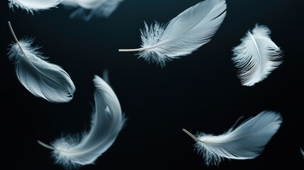 Obraz premium Ethereal Feathers Dancing in the Darkness Abstract Nature Backdrop