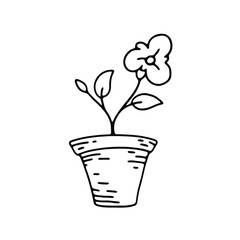 hand drawing of a potted flower with large leaves and a small bloom.