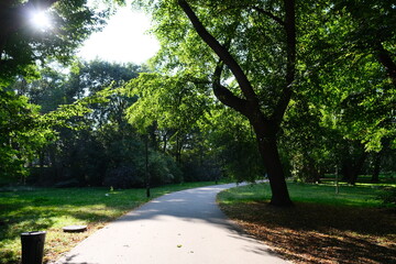 Summer day in a park