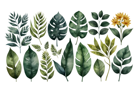Assortment of Tropical Leaves Isolated on Transparent Background