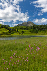 Landscapes near Kalbelesee, Hochtann Mountain Pass, Warth, Vorarlberg, Austria