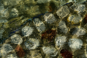 Rocky bottom of mountain river through the clear water