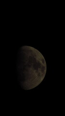 Fototapeta premium Moon Against Dark Night