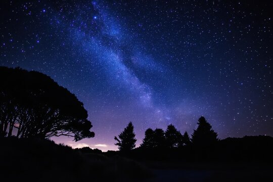 Honoring the emergence of matariki celebrations and traditions