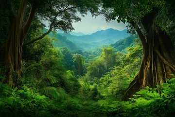 Deep tropical jungles of Southeast Asia in august