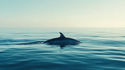 Fototapeta premium A close-up of a dolphin dorsal fin cutting through the calm sea, with the vast horizon in the background, symbolizing freedom.